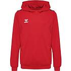 Hummel Authentic Pl Hoodie Röd 14 Years Pojke