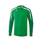 Erima Sweatshirt Liga 2,0 Grönt 4XL Man