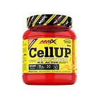 Amix Cellup With Oxystorm Powder 348g Energy Red Fruits Röd