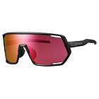 Shimano Technium 2 Sunglasses Guld Matte Black RD/CAT3