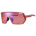 Shimano Technium 2 Sunglasses Guld Teaberry OR/CAT3