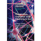 Pragmatics, Grammar and Meaning in SLA