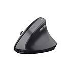 Trust TM-270 Ergonomic Wireless Mouse