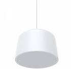 Axis C1510 Pendant