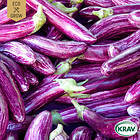 Eco Grow Fröer Aubergine Listada de Gandia