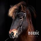 Nordic Horse Huvudlag med pannband Supersoft Brun (Spännen: Silver)