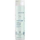 Joico InnerJoi Hydrate Conditioner, 300ml