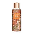 Victoria's Secret Nectar Drip Jasmine & White Praline Kropps-mist Kropps-mist 25