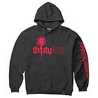 ThirtyTwo Spring Break Hoodie (Herr)