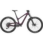 Bold Cycles Linkin 135 Ultimate 29" 2024