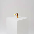 INR by Primy Vector Low Brushed Brass 80001222