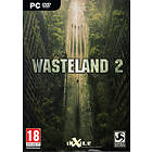 Wasteland 2 (PC)