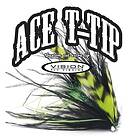 Vision ACE T14 tip 15ft