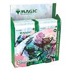 Magic The Gathering: Bloomburrow Collector Booster Display (12)