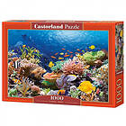 Castorland Coral Reef Fishes 1000 Bitar