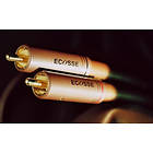 Ecosse La Prima Donna 2RCA - 2RCA 0.8m
