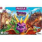 Good Loot Spyro Reignited Trilogy Puzzles 160