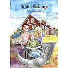 : Brott i Blekinge av Britt Nedestam