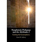 Neoplatonic Pedagogy and the Alcibiades I