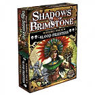 Flying Frog Production Shadows of Brimstone: Blood Priestess Hero Pack (Exp.)