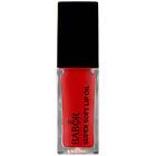 LIP Oil 02 juicy red 4ml