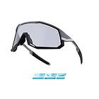 Force Attic Photochromic