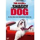 The Shaggy Dog (DVD)