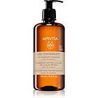 Apivita Dry Dandruff Shampoo 500ml