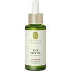 Primavera Hudvård Ansiktsvård Rich Face Oil Regenerating 30ml