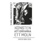 Carl-Magnus Stolt: Konsten att omfamna ett moln
