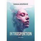 Sonja Josipovic: Introspektion