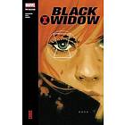 BLACK WIDOW MODERN ERA EPIC COLLECTION: CHAOS