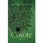 Coyote