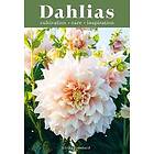 Dahlias