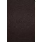 ESV Large Print Compact Bible