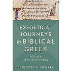 Exegetical Journeys in Biblical Greek – 90 Days of Guided Reading