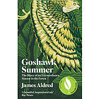 Goshawk Summer