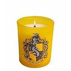 Harry Potter: Hufflepuff Scented Glass Candle (8 oz)
