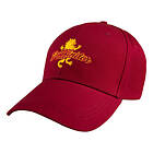 Cinereplicas Harry Potter Gryffindor Curved Bill Cap
