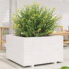 vidaXL Odlingslåda vit 80x80x49,5 cm massiv furu