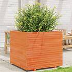 vidaXL Odlingslåda vaxbrun 80x80x72 cm massiv furu 3282626