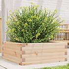 vidaXL Odlingslåda 60x60x23 cm massivt furuträ 847188