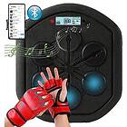 WTHOME Smart Boxing Wall Target