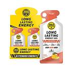 Gold Nutrition Long Lasting 40g Mango 16 Units