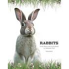 Rabbits