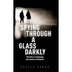 Spying Through a Glass Darkly