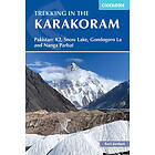 Trekking in the Karakoram