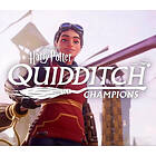 Harry Potter: Quidditch Champions (PC)