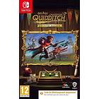 Harry Potter: Quidditch Champions (Switch)