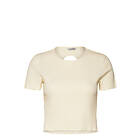 Holzweiler Tree Cropped Tee (Dam)